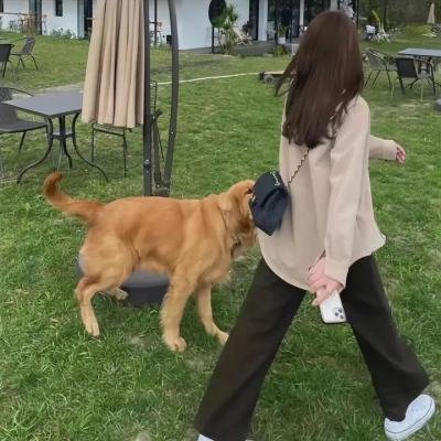 风流教士俏女佣